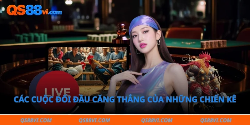 Các cuộc đối đầu căng thẳng của những chiến kê giàu sức bền