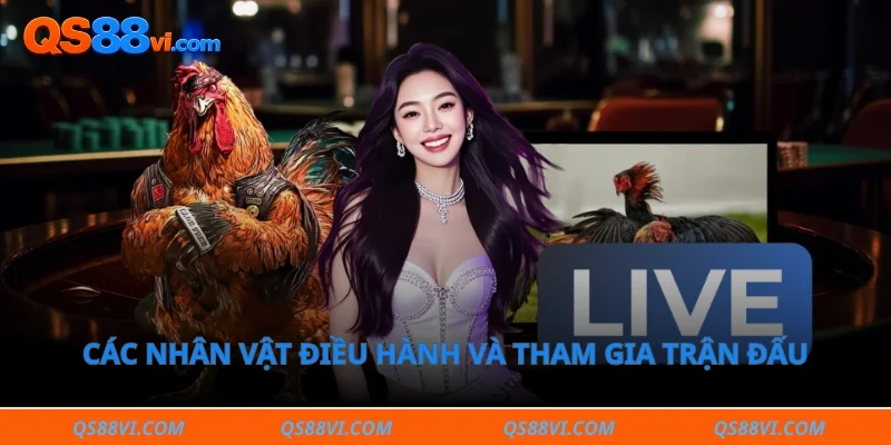 Các nhân vật điều hành và tham gia trận đấu tại bồ gà chuyên nghiệp
