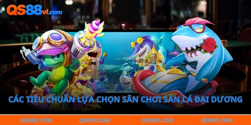 Các tiêu chuẩn lựa chọn sân chơi săn cá đại dương an toàn