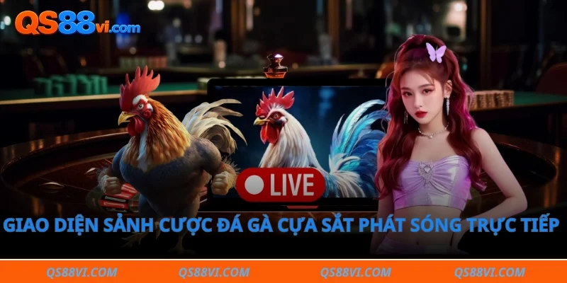 Giao diện sảnh cược đá gà cựa sắt phát sóng trực tiếp chất lượng cao