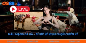 Màu mạng đá gà