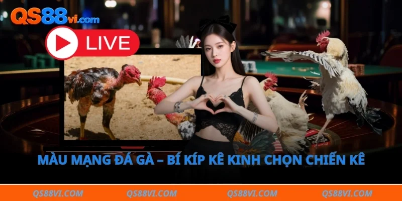 Màu mạng đá gà