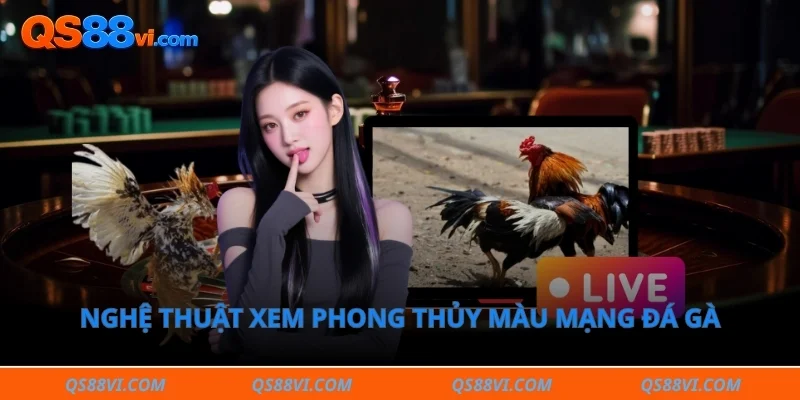 Nghệ thuật xem phong thủy màu mạng đá gà trong dân gian
