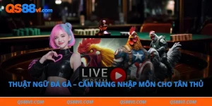 thuật ngữ đá gà